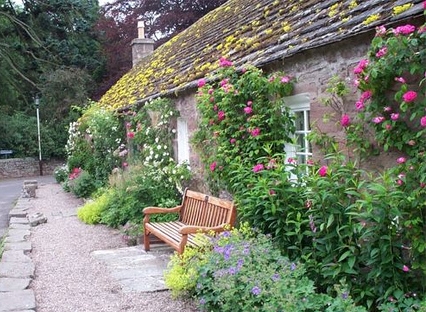 Row of stone cottages, mossy roof slates